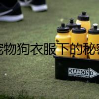 寵物狗衣服下的秘密