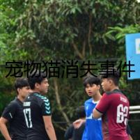 寵物貓消失事件