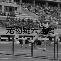 寵物疑云迷離