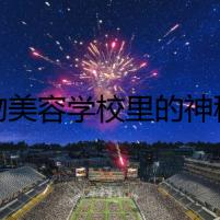 寵物美容學(xué)校里的神秘事件