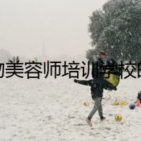 寵物美容師培訓(xùn)學(xué)校的秘密