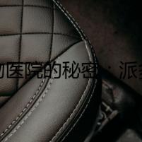 寵物醫(yī)院的秘密：派多格疑云