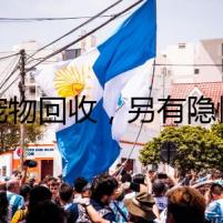 寵物回收，另有隱情
