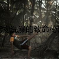 寵物洗澡的致命秘密