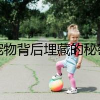 寵物背后埋藏的秘密