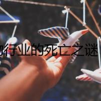 寵物行業(yè)的死亡之謎：迷霧重重