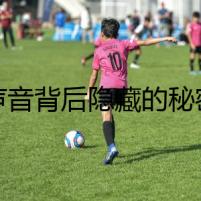 聲音背后隱藏的秘密
