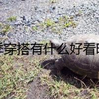 夏季穿搭有什么好看時(shí)髦的設(shè)計(jì) 女生穿搭時(shí)尚款式圖片分享