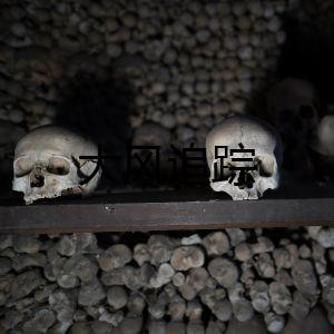 大風(fēng)追蹤