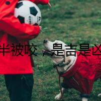夜半被咬，是吉是兇？