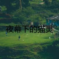 夜幕下的貓靈