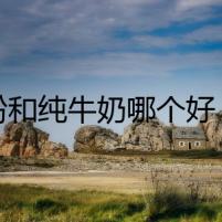 奶粉和純牛奶哪個好：全面對比解析