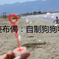 奇跡布偶：自制狗狗衣服的秘密日記