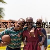 墓園夜啼：純黑色的狗拉布拉多