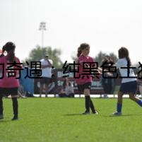 尋狗奇遇：純黑色土狗的生存之道