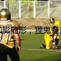 如影隨形，貍鬼魅聲