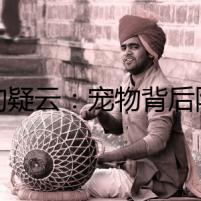 小狗疑云：寵物背后隱藏的驚天秘密