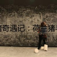 小豬奇遇記：荷蘭豬與神秘信件