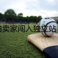 小白賣家闖入獨立站，從0做到月銷10萬美金