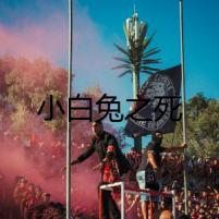 小白兔之死