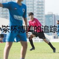 小小茶杯博美的追蹤之旅