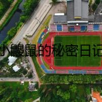 小鼴鼠的秘密日記