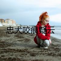 忠犬咬痕疑云