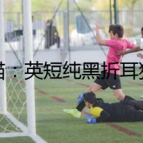 異貓：英短純黑折耳貓之謎