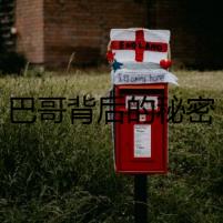 巴哥背后的秘密