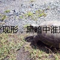 巨獒現(xiàn)形，黑暗中誰(shuí)是獵人？