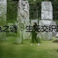 巨龜之謎：生死交織的懸疑旅途