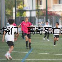 幼犬撓門(mén)，離奇死亡的背后