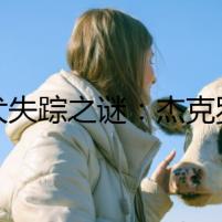 幼犬失蹤之謎：杰克羅素梗的價值