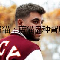 幽靈貓：藍(lán)貓品種背后的驚魂