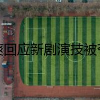 鄭爽回應(yīng)新劇演技被夸有些心虛 鄭爽演了什么劇好看嗎