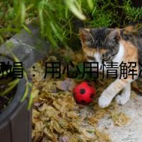 鄭麗娟：用心用情解決居民商戶“急難愁盼”