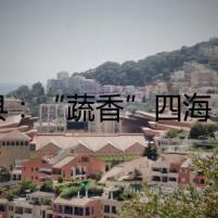 道縣：“蔬香”四海 “菜俏”五湖