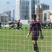 道縣：突發(fā)，大風(fēng)刮斷樹枝掉路面   交警徒手清理