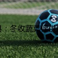 道縣：冬收蔬菜保供應(yīng)（組圖）