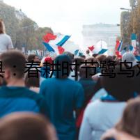 道縣：春耕時節(jié)鷺鳥歡  田園盡展生態(tài)美