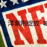 道縣：洋紫荊綻放  城市畫卷再添新彩