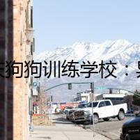 重慶狗狗訓練學校：異事追兇