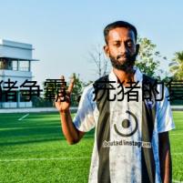 野豬爭霸，疣豬的復仇