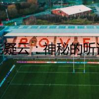金毛疑云：神秘的聽話訓(xùn)練