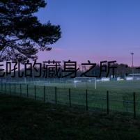 金毛吼的藏身之所：一場驚心動魄的追兇之旅