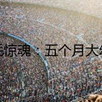 金毛驚魂：五個(gè)月大幼犬的恐怖夜宴