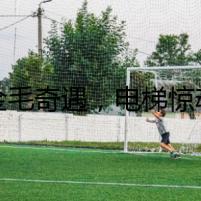 金毛奇遇，電梯驚魂
