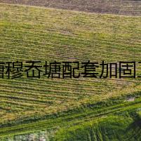 金塘穆岙塘配套加固工程穩(wěn)步推進(jìn)