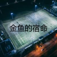 金魚的宿命