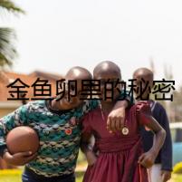 金魚卵里的秘密